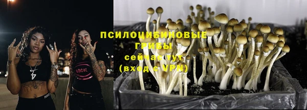 гашишное масло Алзамай